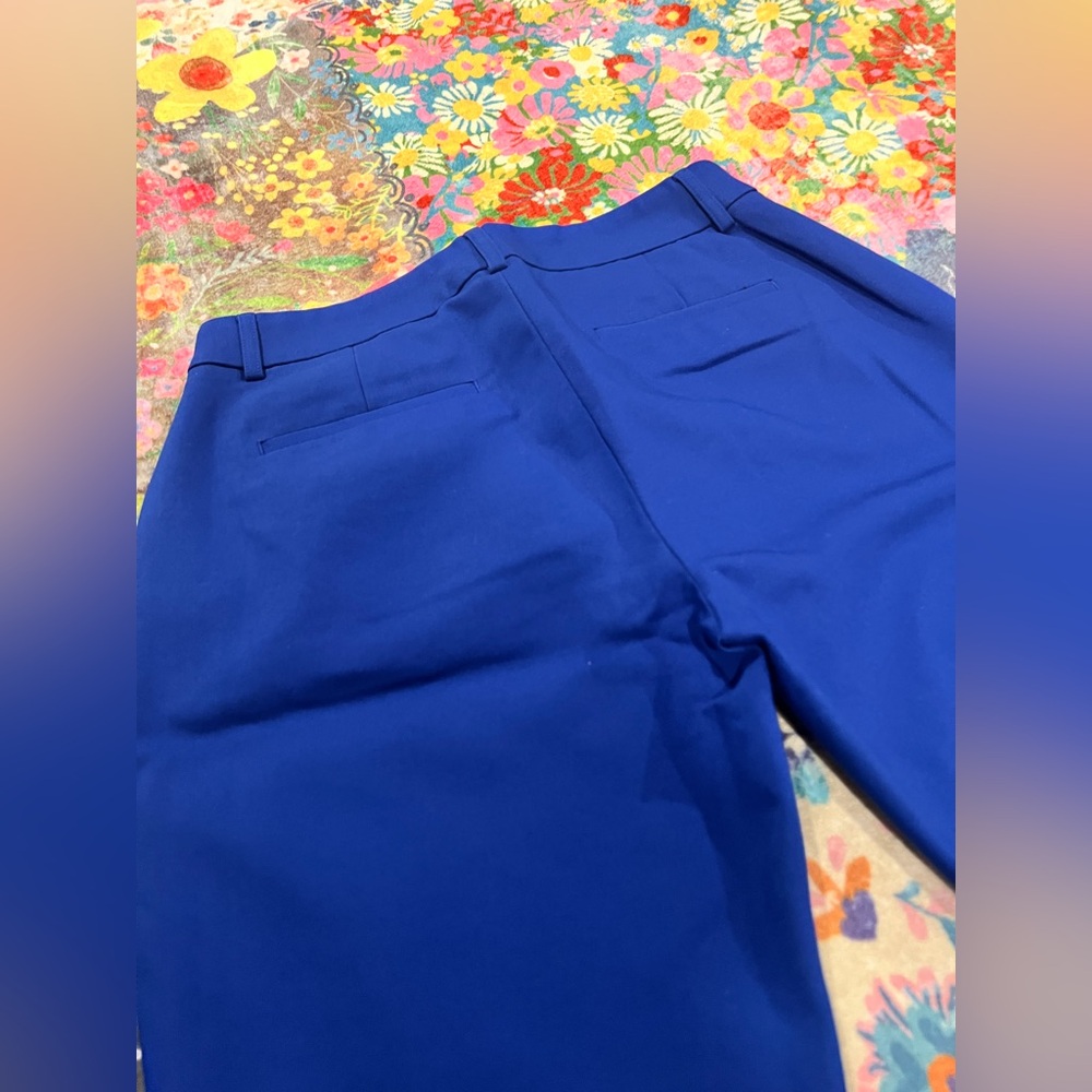 Express Barely Boot Pants in Royal Blue - Picture 7 of 8